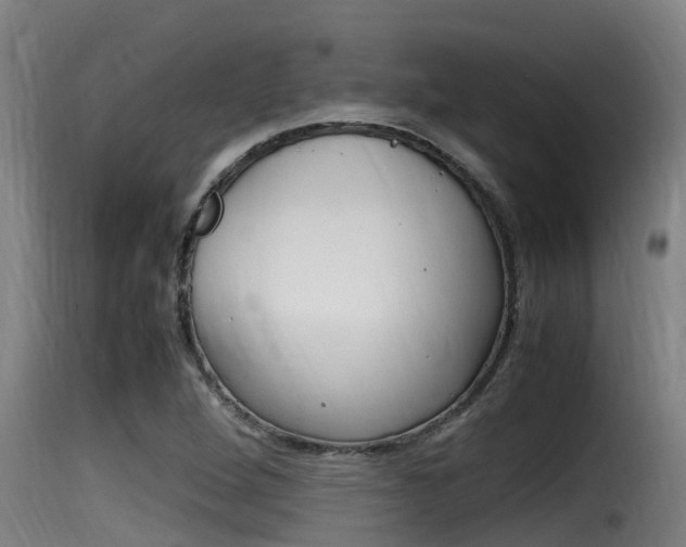 X0000116101264200911230924