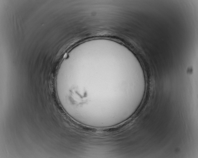 X0000116101265200911230924