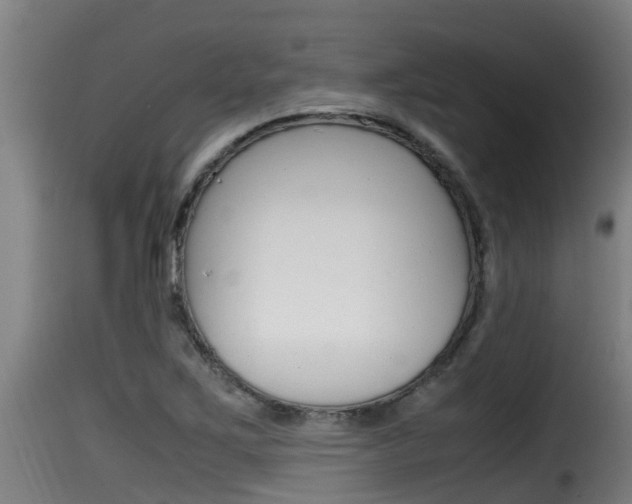 X0000116101267200911230924