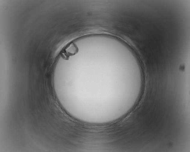 X0000116101269200911230924