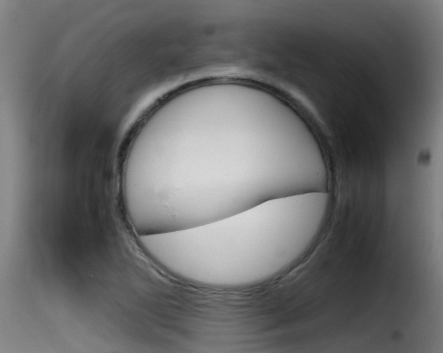 X0000116101270200911230924