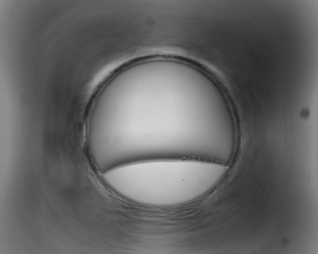 X0000116101271200911230924