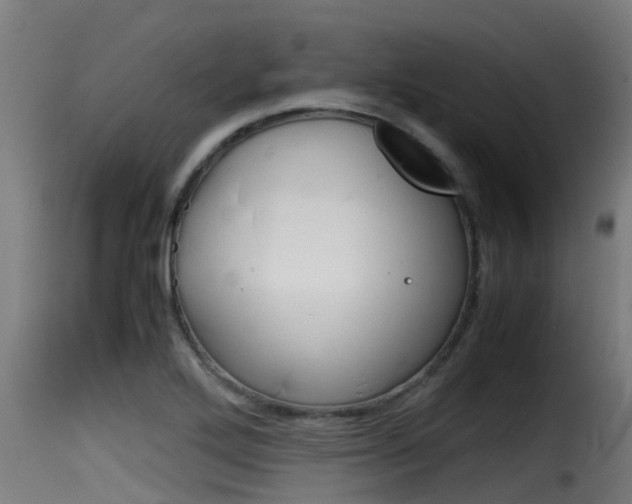 X0000116101272200911230924