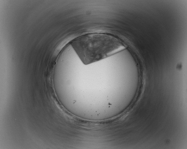 X0000116101273200911230924