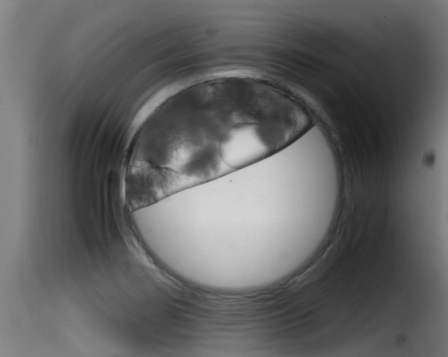 X0000116101274200911230924