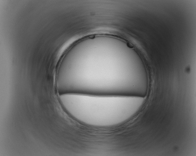 X0000116101275200911230924