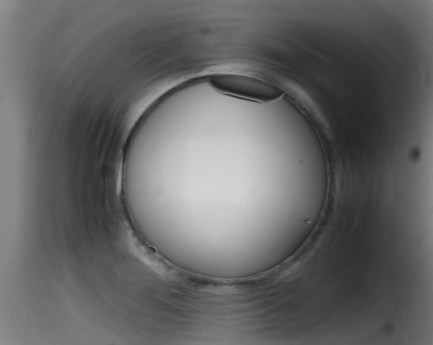 X0000116101276200911230924