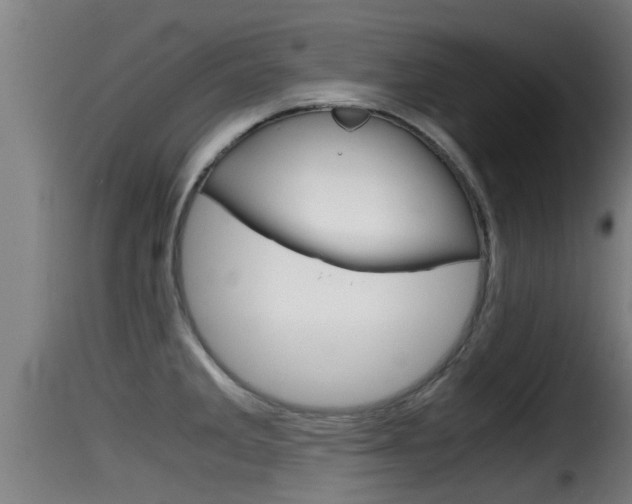 X0000116101285200911230923