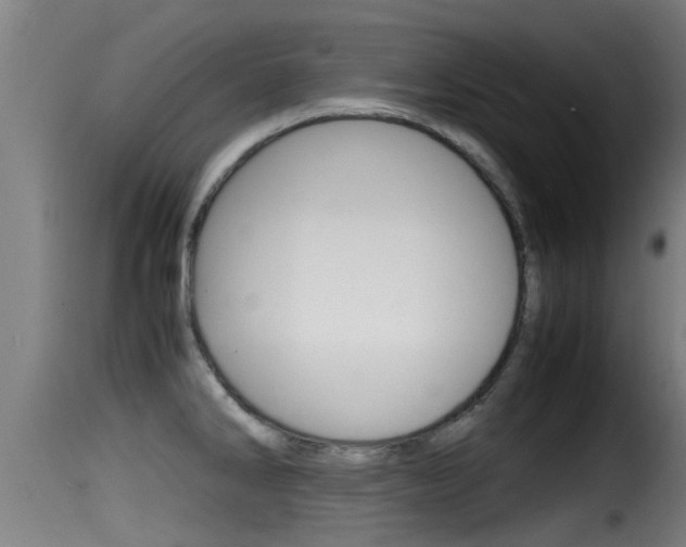 X0000116101286200911230923