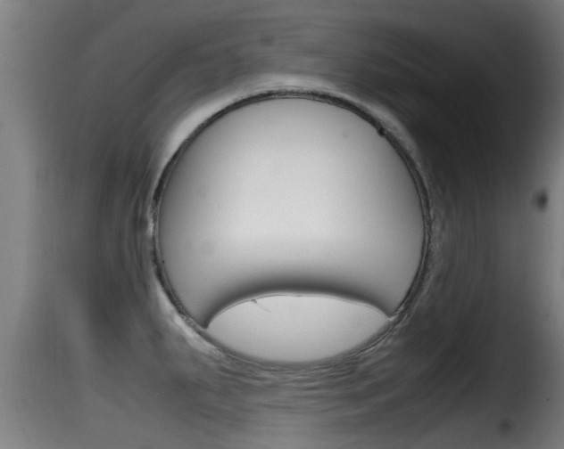 X0000116101287200911230923