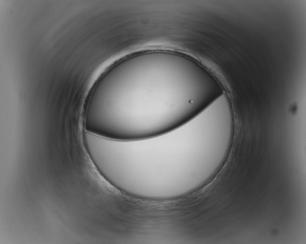 X0000116101288200911230923