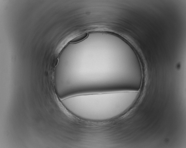 X0000116101289200911230923