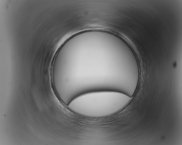 X0000116101291200911230923