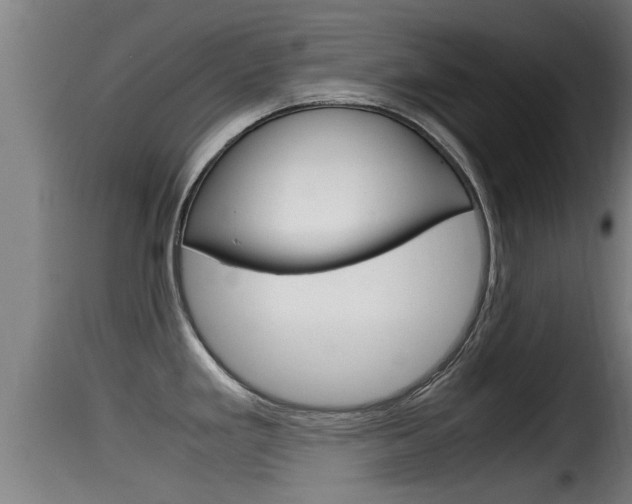 X0000116101293200911230923