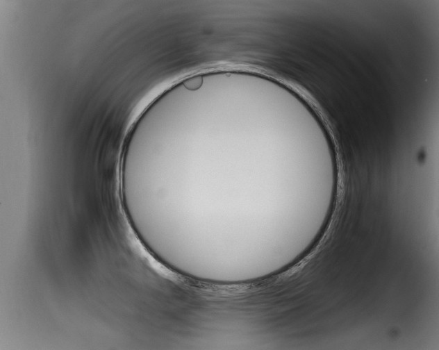 X0000116101294200911230923
