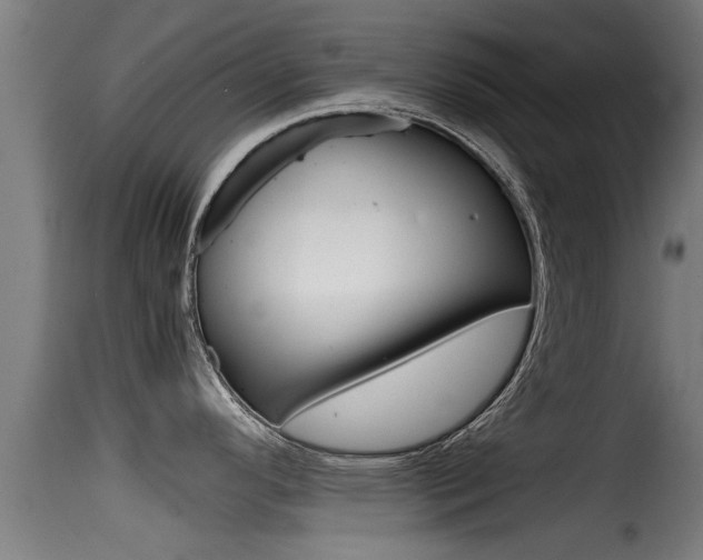 X0000116101296200911230923