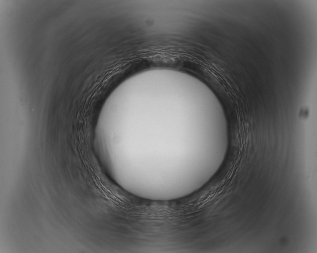X0000116101297200911230922