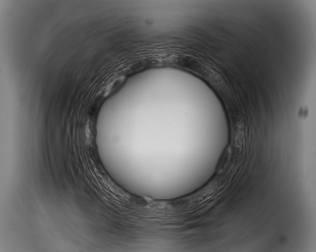 X0000116101298200911230922