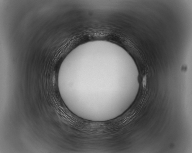 X0000116101299200911230922