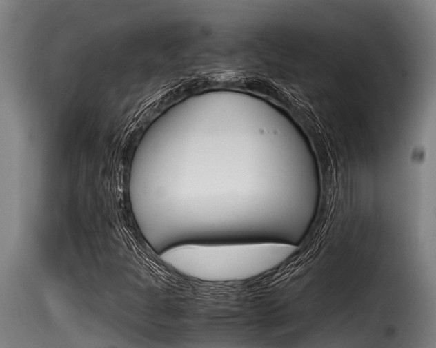 X0000116101301200911230922