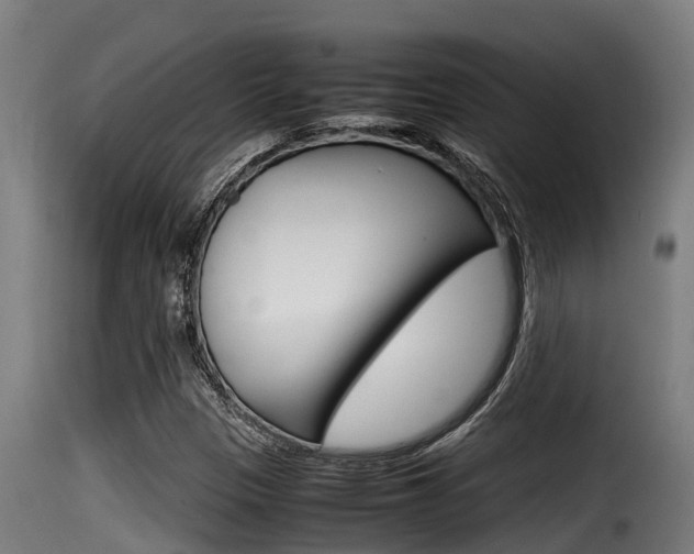 X0000116101305200911230923