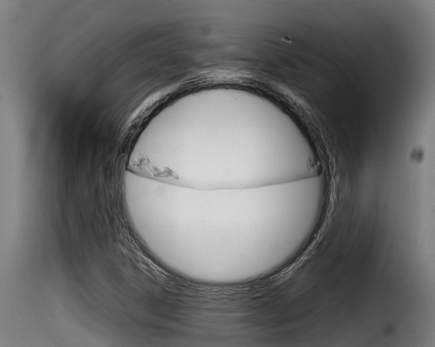 X0000116101306200911230923