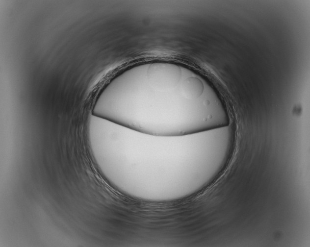 X0000116101307200911230923