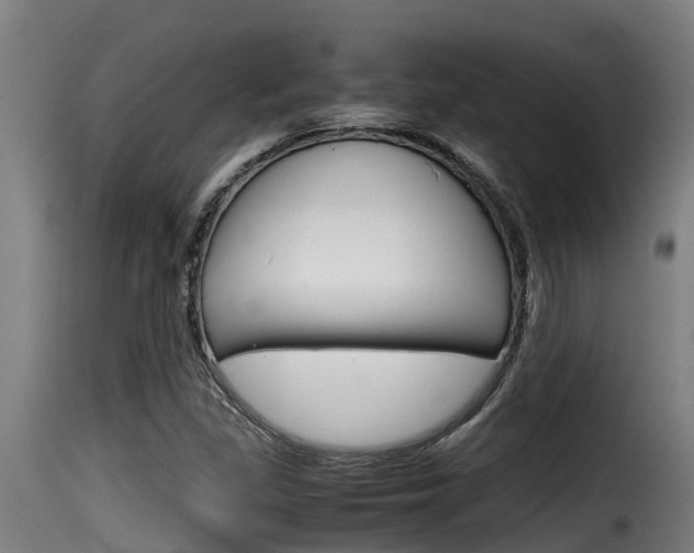 X0000116101309200911230923