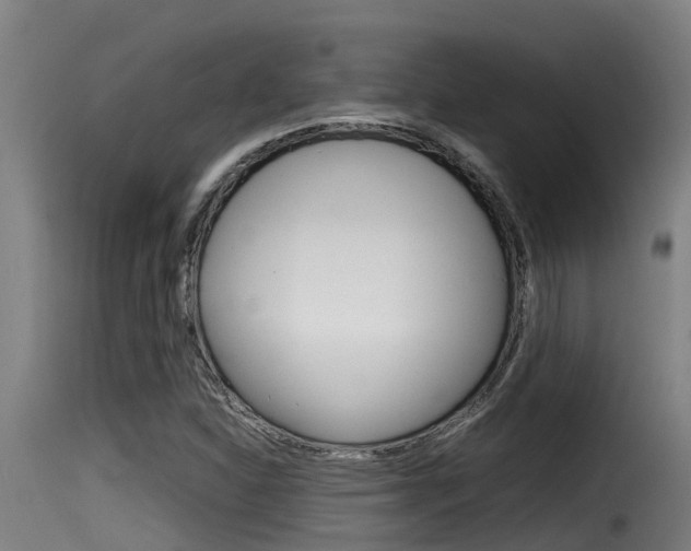 X0000116101310200911230923