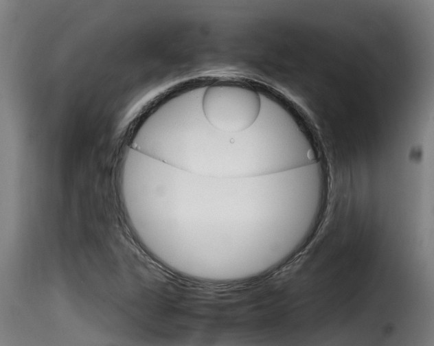 X0000116101311200911230923