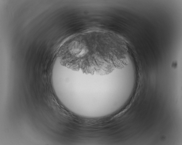 X0000116101313200911230923