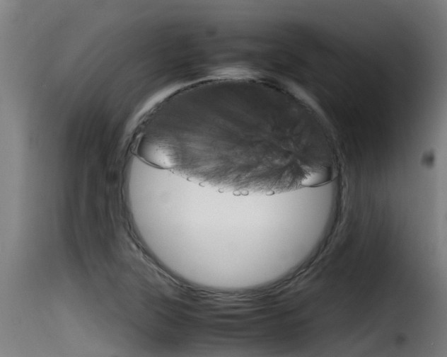 X0000116101315200911230923