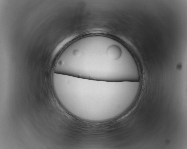 X0000116101317200911230923
