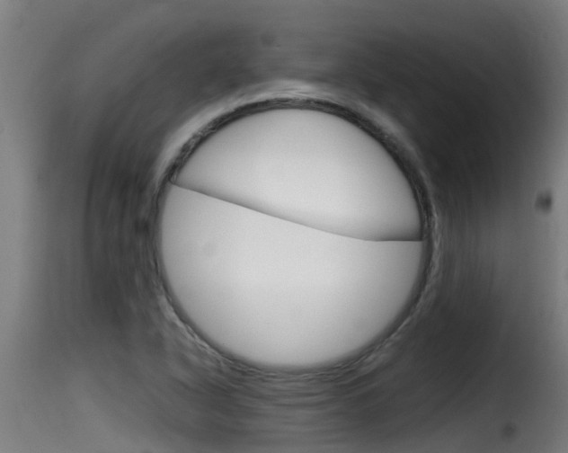 X0000116101318200911230923