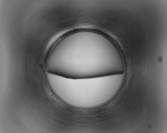 X0000116101319200911230923