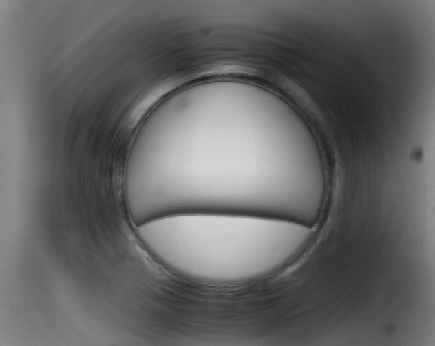 X0000116101321200911230923