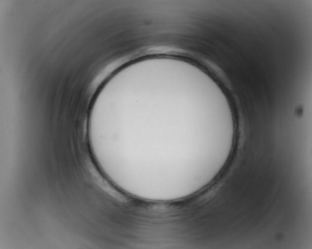 X0000116101322200911230923