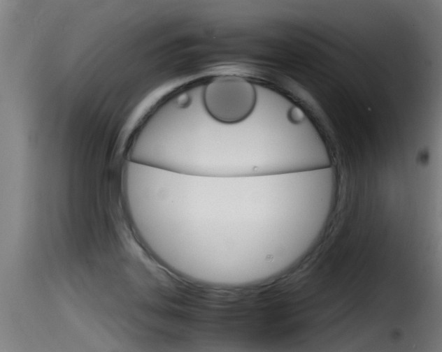 X0000116101323200911230923