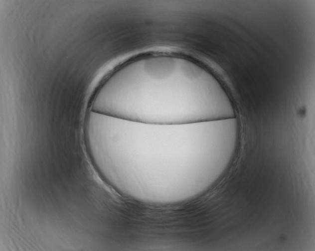 X0000116101327200911230923