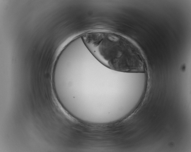 X0000116101333200911230923