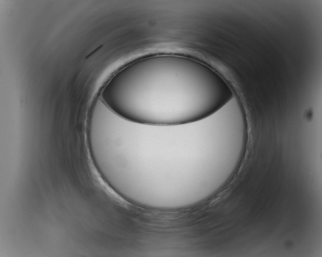 X0000116101334200911230923