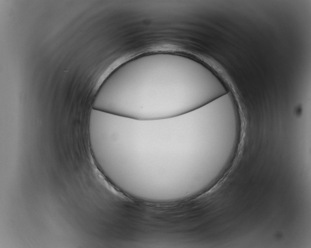 X0000116101337200911230923