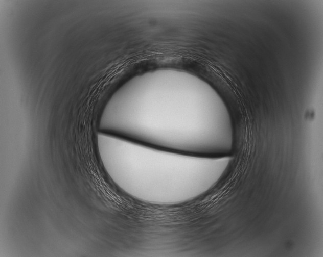 X0000116101345200911230922