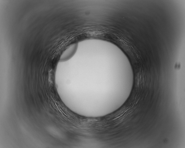 X0000116101346200911230922