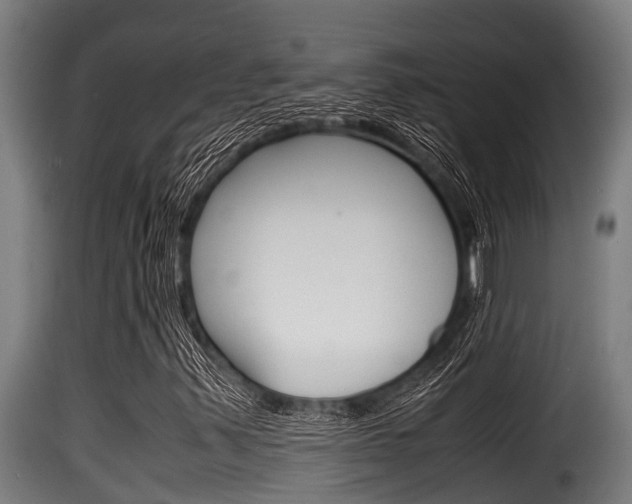 X0000116101347200911230922
