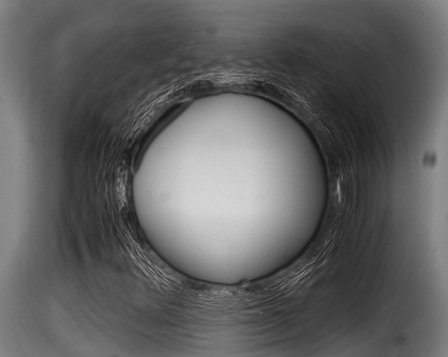 X0000116101348200911230922