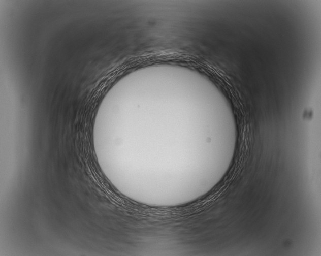 X0000116101349200911230922