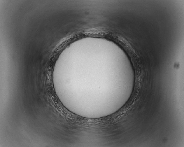 X0000116101350200911230922