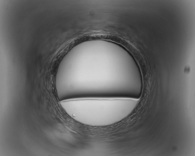 X0000116101351200911230922