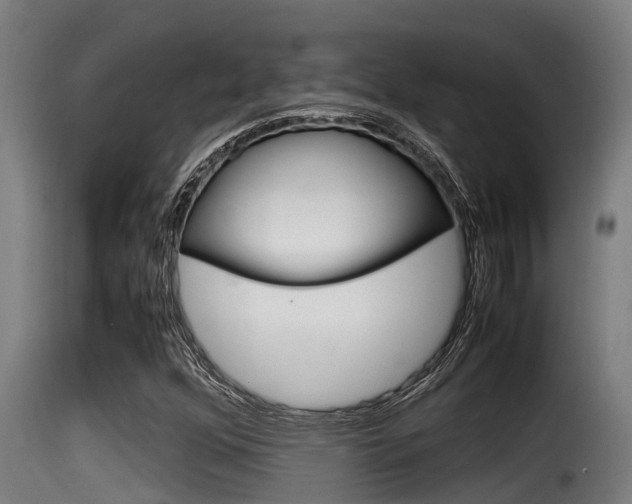 X0000116101352200911230922